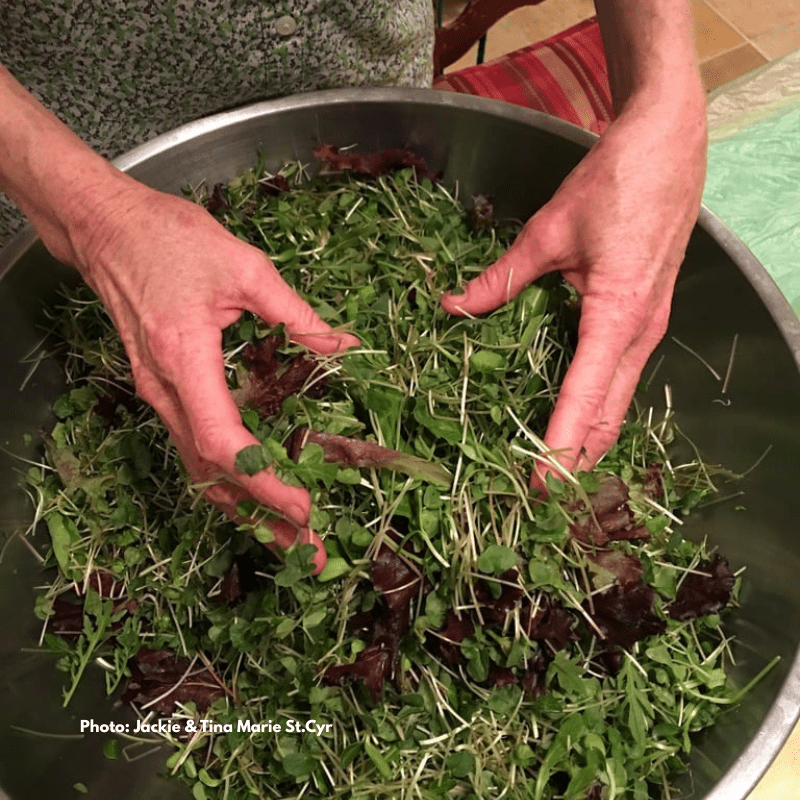 Meals at Rainbow Hearth Sanctuary & Retreat Photo by Jackie & Tina Marie St.Cyr