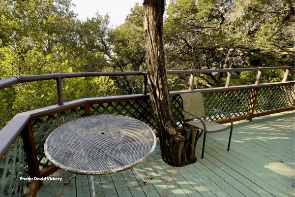 Tree House Yurt Photo by David Vickery