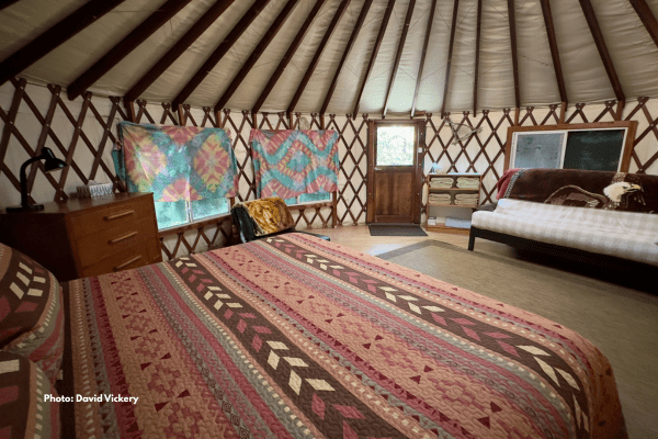 Tree House Yurt Photo by David Vickery