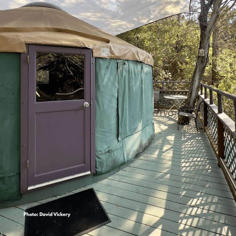 Tree House Yurt at Rainbow Hearth Sanctuary & Retreat Photo by David Vickery