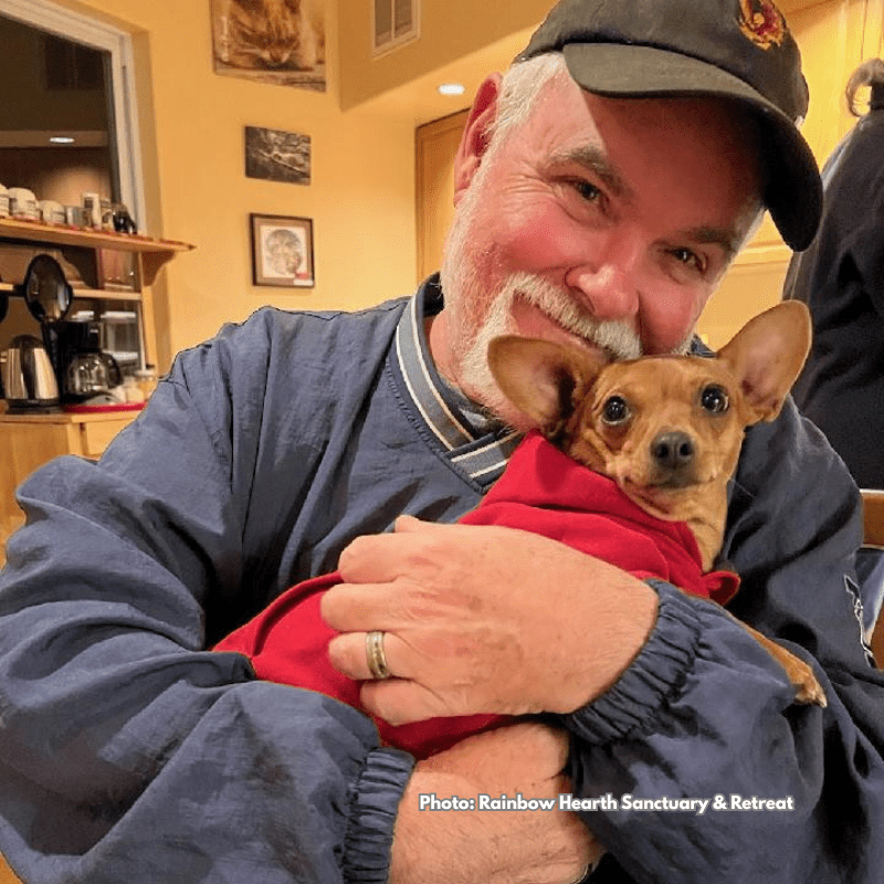Pet Friendly Accommodations