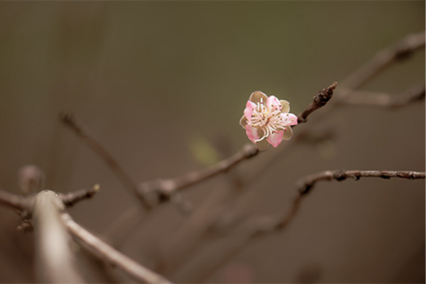 Mental Health Retreat Outside of Austin